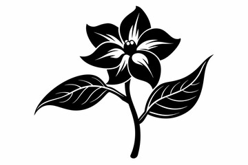 jasmine black and white flower silhouette on white background, Vector illustration, bird, icon, svg, characters, Holiday t shirt, Hand drawn trendy Vector illustration, flower
