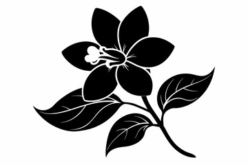jasmine black and white flower silhouette on white background, Vector illustration, bird, icon, svg, characters, Holiday t shirt, Hand drawn trendy Vector illustration, flower
