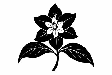 jasmine black and white flower silhouette on white background, Vector illustration, bird, icon, svg, characters, Holiday t shirt, Hand drawn trendy Vector illustration, flower
