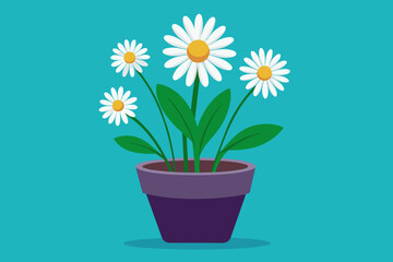 Daisy flowers in pots Vector illustration on white background, silhouette, bird, icon, svg, characters, Holiday t shirt, Hand drawn trendy Vector illustration, Rose flower