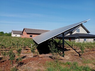 Electric solar panels on a blueberry plantation with drip irrigation of bushes. Generation of electricity from sunlight.