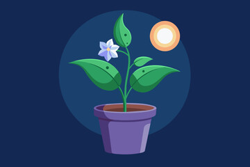 Moon flowers in pots Vector illustration on white background, silhouette, bird, icon, svg, characters, Holiday t shirt, Hand drawn trendy Vector illustration, Rose flower