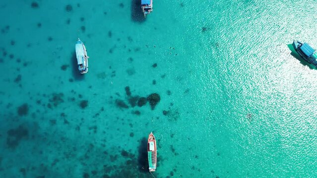 aerial view of a paradisiacal beach with palm trees and boats sailing in the crystal clear waters.