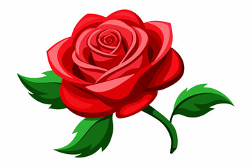 Fototapeta premium red rose with leaves Vector illustration on white background, silhouette, bird, icon, svg, characters, Holiday t shirt, Hand drawn trendy Vector illustration, Rose flower 