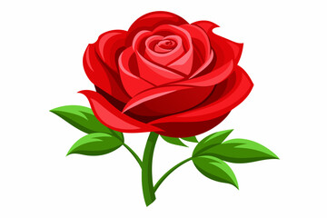 red rose with leaves Vector illustration on white background, silhouette, bird, icon, svg, characters, Holiday t shirt, Hand drawn trendy Vector illustration, Rose flower
