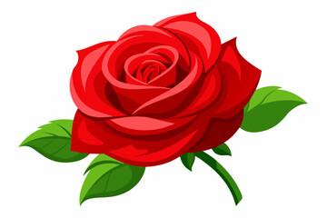 red rose with leaves Vector illustration on white background, silhouette, bird, icon, svg, characters, Holiday t shirt, Hand drawn trendy Vector illustration, Rose flower
