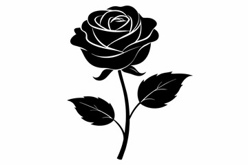 black rose with leaves Vector illustration on white background, silhouette, bird, icon, svg, characters, Holiday t shirt, Hand drawn trendy Vector illustration, Rose flower