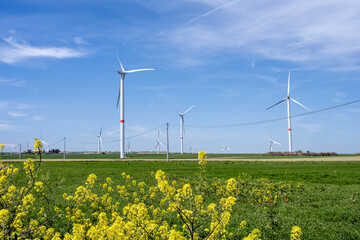 Wind turbines and some flowering rapeseed seen in Puglia, Italy
