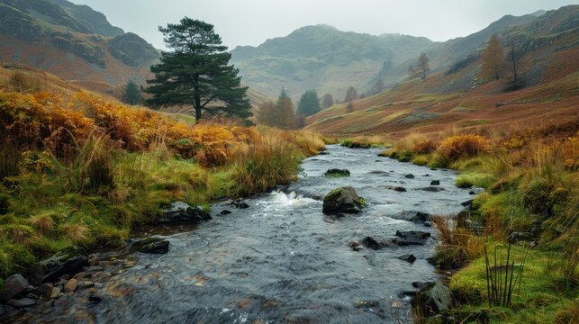 A stream in the hills above Grasmere in the Lake District