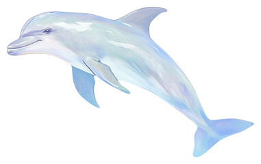 Obraz premium PNG Dolphin drawing animal mammal.