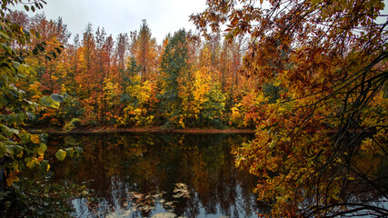Autumn trees on the lake shore in the cloudy day.