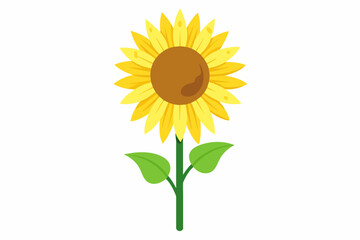 sunflower isolated on white background, sunflower Vector illustration, silhouette, bird, icon, svg, characters, Holiday t shirt, Hand drawn trendy Vector illustration, Rose flower