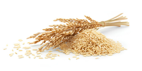 Rice and various grains on a white background