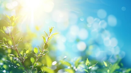 blurry sunny day blue sky background, free space for text and copy, 16:9