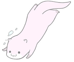 An otter swimming underwater towards the bottom left(sakura)