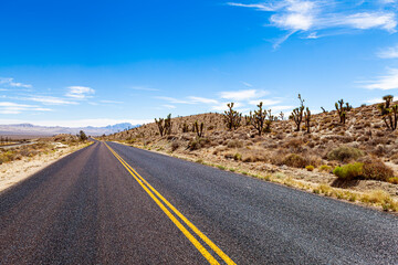 Empty road on the desert