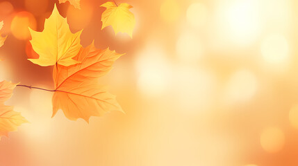 Obraz premium Autumn background, leaves and blurred sunlight