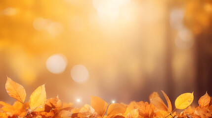 Autumn background, leaves and blurred sunlight