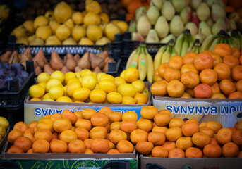 A colorful assortment of citrus fruits including lemons, oranges, and grapefruits, neatly displayed...