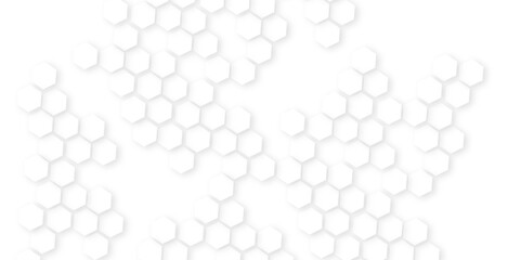 Background with white lines . Abstract background with hexagon,Abstract background with lines.Modern pattern polygon art in illustration art background,hexagon concept design abstract technology backg