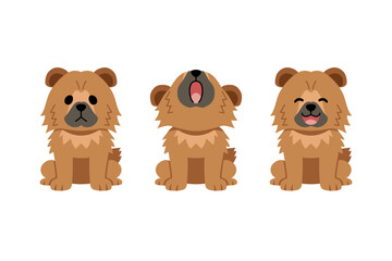 Set of vector cartoon character cute chow chow dog for design.