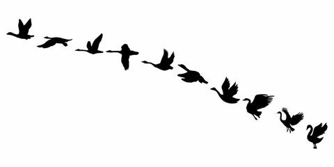 step by step silhouette of flying geese
