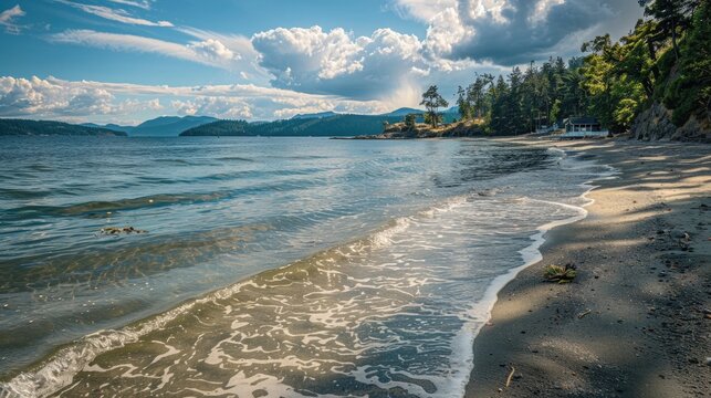Eastsound Beach Scene on Island - Coastal Bay with Serene Water Views at White