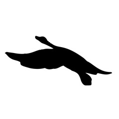 black silhouette of a swan or duck