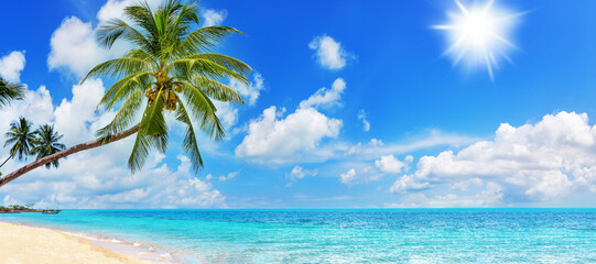 Tropical island paradise sea beach, ocean water, green coconut palm tree leaves, sand, sun blue sky cloud, beautiful nature panorama landscape, Caribbean, Maldives, Thailand, summer holidays, vacation