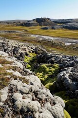 Fototapeta premium An empty crater floor, dotted with patches of vibrant green moss and lichen, providing a striking contrast to the harsh and rocky terrain, Generative AI