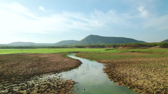 4K aerial shot of river stream and hills in background at Kutch, Gujarat, India. Birds playing in river water. Green grass around river. Nature summer landscape. 