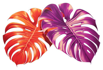 PNG Tropical leaf plant petal art.