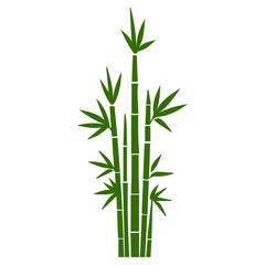 Obraz premium Bamboo forest flat design