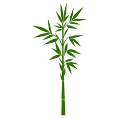 Obraz premium Bamboo forest flat design