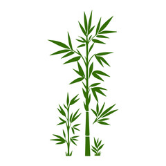 Obraz premium Bamboo forest flat design