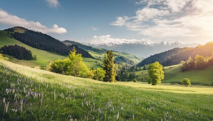 Fototapeta na wymiar Idyllic mountain panoramic landscape. Fresh green meadows and blooming wildflowers, sun ray. Beautiful nature countryside view, rural sunny outdoor natural. Bright banner nature spring summer panorama