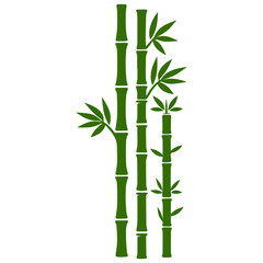 Fototapeta premium Bamboo forest flat design
