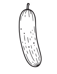 Illustration Coloring draw vegetable cucumber black and white version good for kids