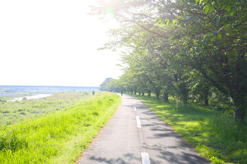 cycling road in a country side, Japan
