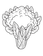 Obraz premium Illustration Coloring draw vegetable fresh cauliflower black and white version good for kids