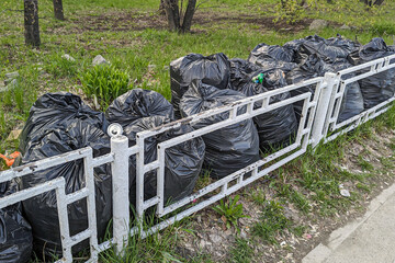 Plastic garbage bags are lying by the fence on a spring day