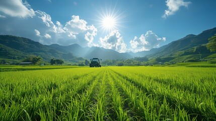 Rural Farming: Tractor Plowing Green Paddy Field under Clear Sunny Skies in Countryside Setting