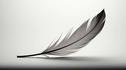 A feather is shown on a white background