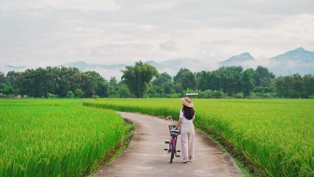 Young happy woman tourist enjoying and riding a bicycle in paddy field while traveling at Nan, Thailand