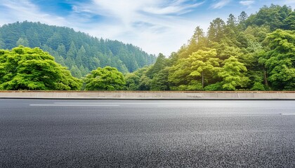 Asphalt road side view with forest.