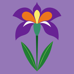 Iris Flower vector illustration concept 