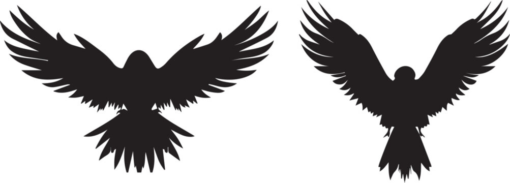 Set of wings icons black silhouette on white background 