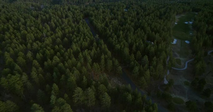 Aerial View, Conifer Forest Between State Road and Hidden Residential Community in Landscape of Arizona USA at Sunset, Revealing Drone Shot