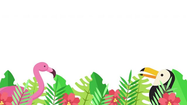 Tropical Illustration Animation with Flamingo and toucan, Transparent Background, Loop