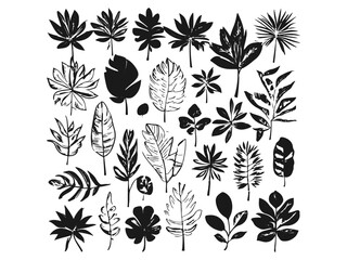 creating art inspired by black and white leaves, exploring the subtleties of black and white plant, illustrating the intricacy of monochromatic leaves, capturing the grace of monochromatic plant.